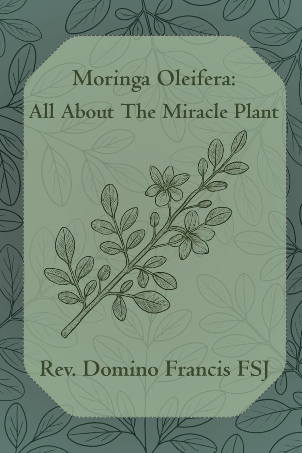 Moringa Oleifera: All About The Miracle Plant