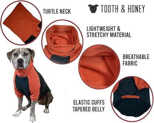 Miniatura 5 de Tooth and Honey - Suéter para perro grande Pitbull, sudadera para perro, color verde oscuro y naranja (talla XL)