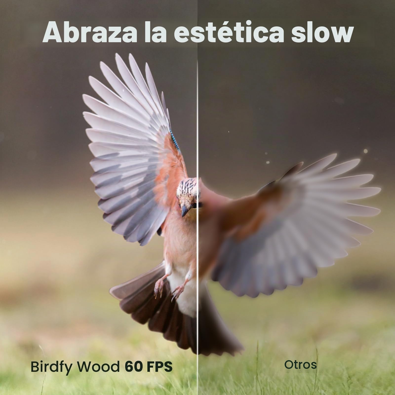 Smart Bird Feeder with Camera, Birdfy Bird Feeder Made of Wood, Solar Powered, AI Detection for 6000+ Bird Species, 1080P Portrait, Weatherproof, App Live View, Youtube & Facebook Streaming