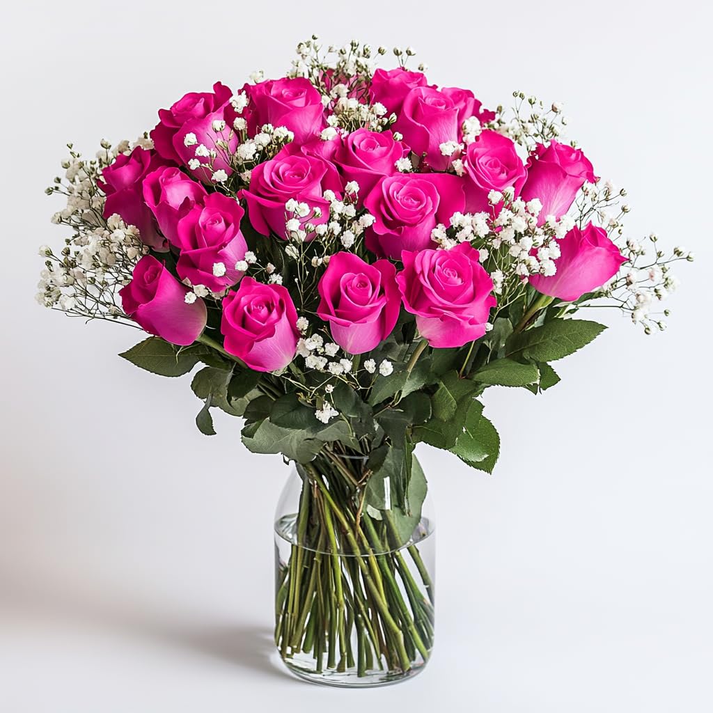 Amazon.com : GlobalRose Fresh 2 Dozen Hot Pink Roses & Fillers