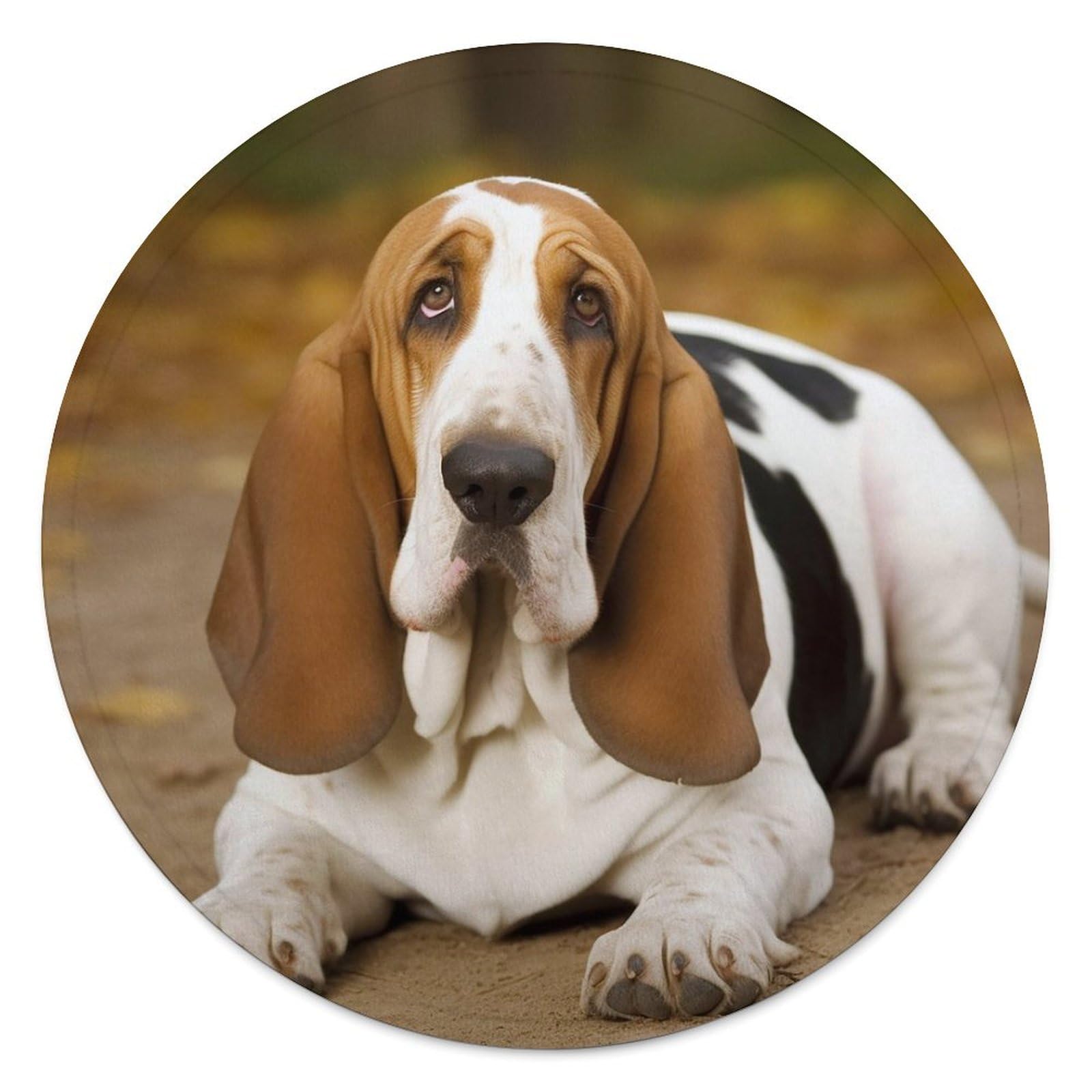 Couverture de plage ronde Basset Hound en microfibre coton 150cm avec franges