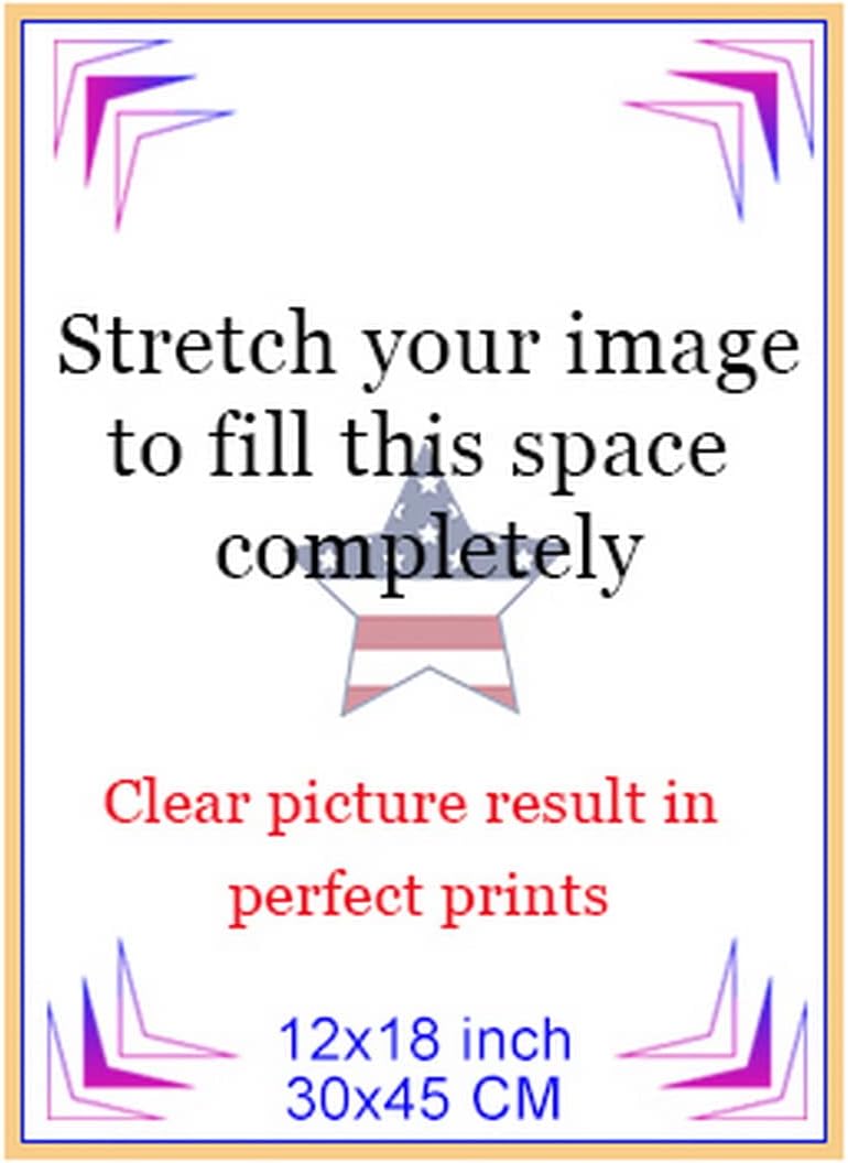 Looife 12"x18" Custom Canvas Prints with Your Photo, Personalized Pictures Ready to Hang for Living Room, Bedroom, Wedding, Gift