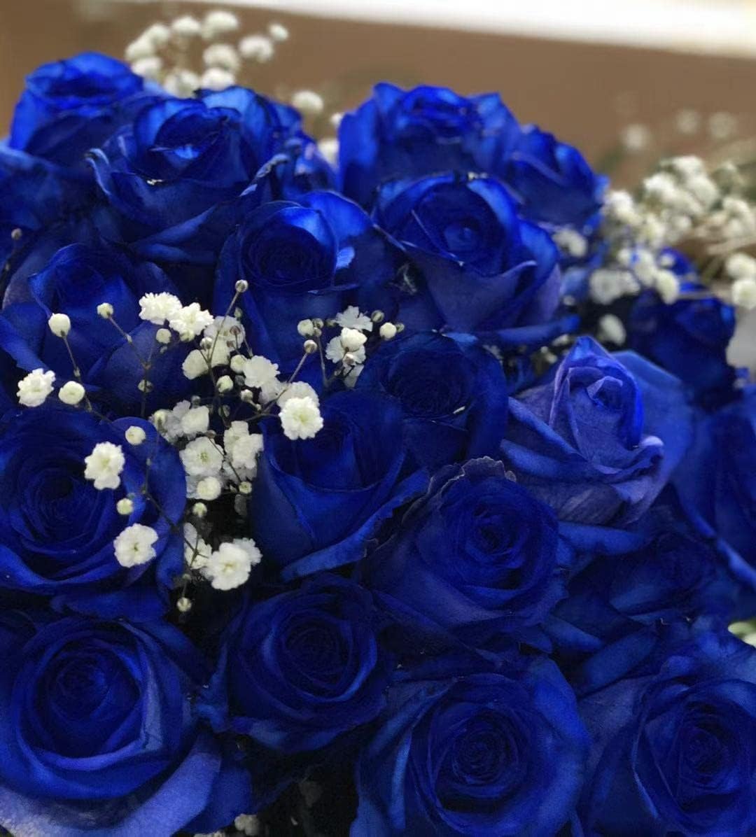 Amazon 生花花束 青バラ 奇跡 神の祝福 プロポーズ 誕生日 記念日 花束 青いバラ花束 ベンデラ 薔薇 宅配送 お祝 ギフト プレゼント 送別会 退職祝いカスミ草 グリーン付き バラの花束 30本 花束 オンライン通販 Amazon 生花花束 青バラ 奇跡 神の祝福 プロポーズ 誕生日 記念日 花束 青いバラ花束 ベンデラ 薔薇 宅配送 お祝 ギフト プレゼント 送別会 退職祝いカスミ草 グリーン付き バラの花束 30本 花束 オンライン通販