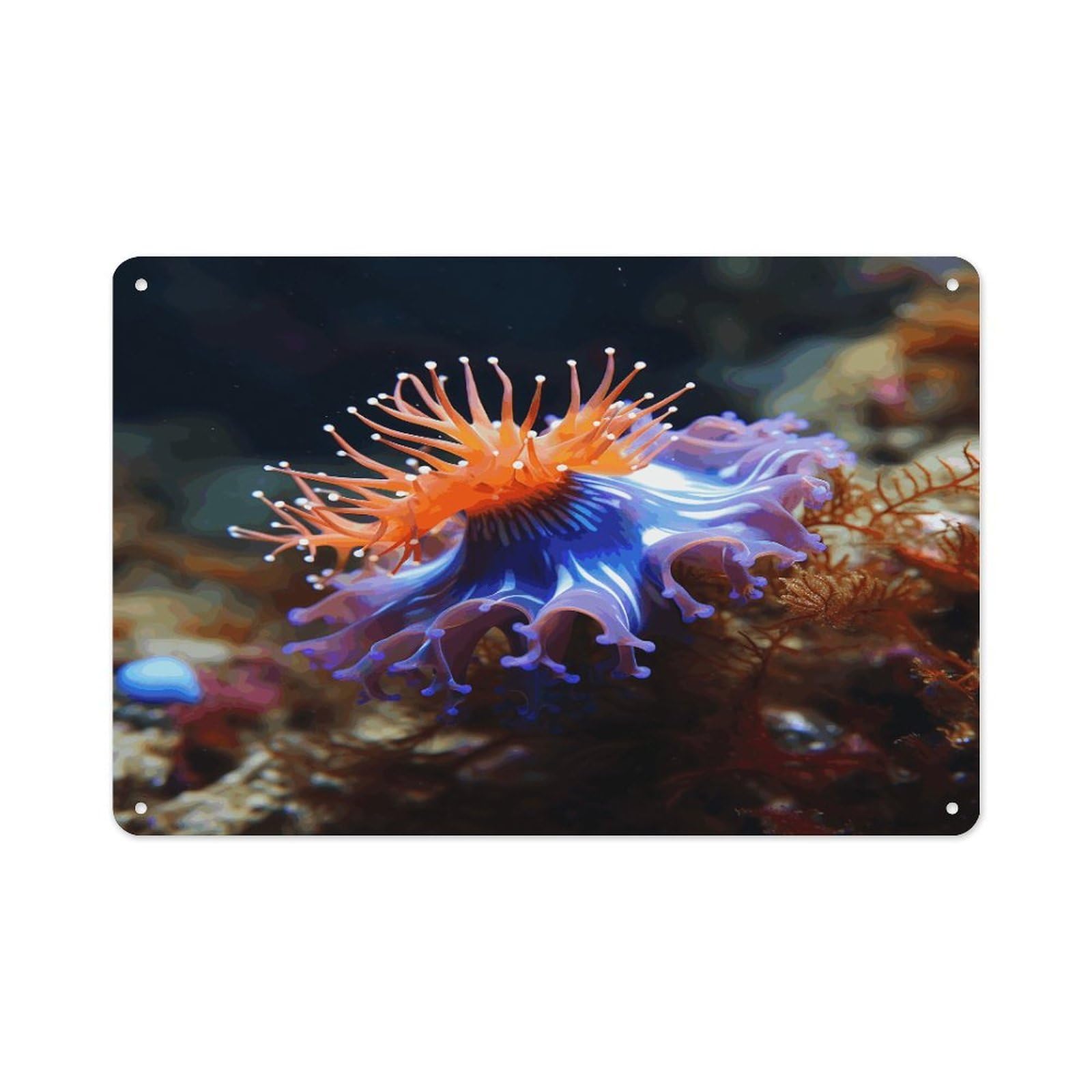 Nudibranch Rectangle Aluminum Sign Vintage Horizontal Aluminum Plate Multi-Purpose Decoration Painting Farmhouse Style Metal Sign for Home Door Office Cafe