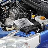 Idealer thermischer Schutz der Autobatterie gegen Kälte.