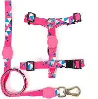 kit Coleira: Peitoral Modelo H + Guia (G, Pink)