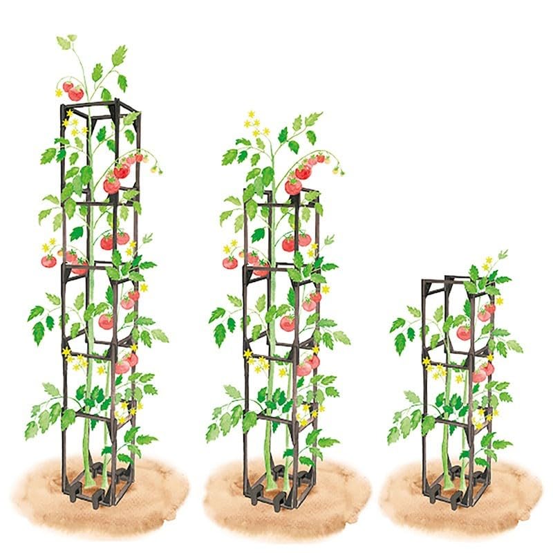 Lot de 4 Tuteurs pour Tomates et Plantes Grimpantes – Cage Modulable Jusqu’à 1,45 m – Autoportant, Évolutif, Montage Facile – Fabriqué en France – Iriso