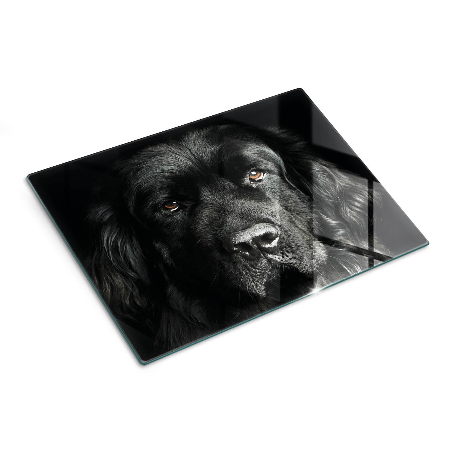 Multifonction : Planche en verre et couvercle 40x30 cm Terre-Neuve