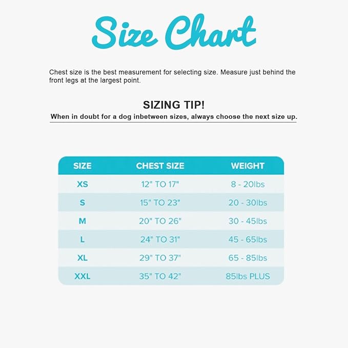 zendog calming shirt