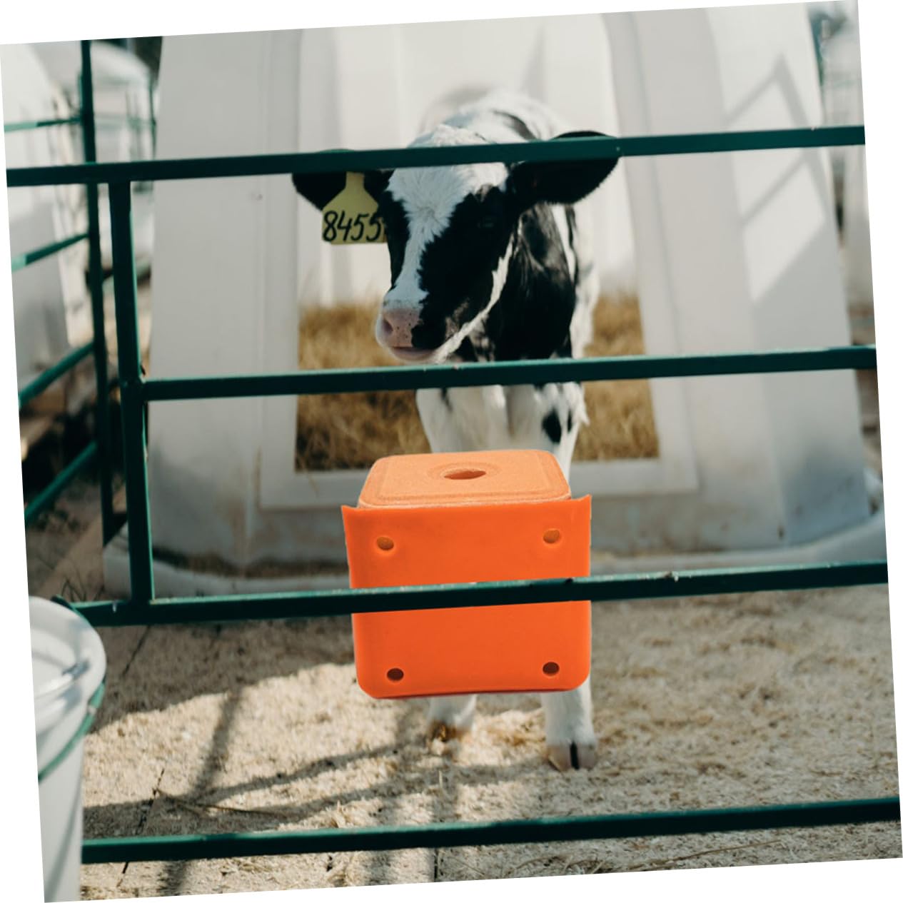 4 Blocs De Sel Minéral Pour Chevaux Bétail - Friandises Avec Support Chèvre Mouton