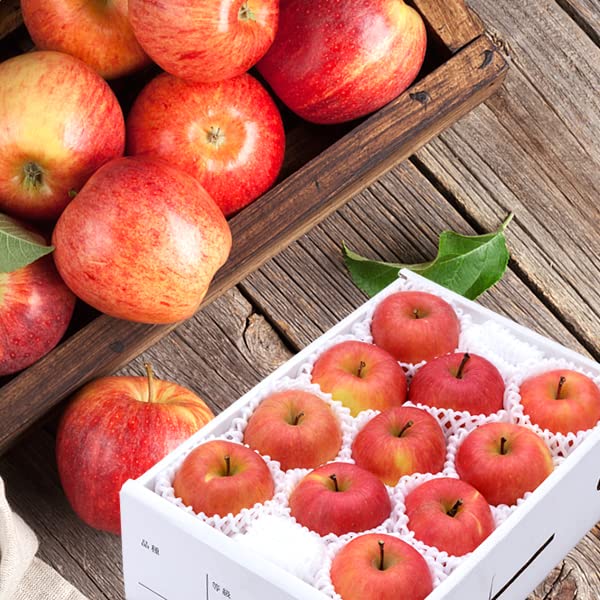 北のデリシャス 山形県産 高徳りんご (秀品/常温品) 林檎 こうとく お歳暮 ギフト 贈り物 贈答 お祝い 内祝い ご家庭用 産地直送 果物 フルーツ お取り寄せ