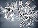 Produktbild PAINTING DRAWING ABSTRACT FANTASY DRAGON HEAD FIRE ART PRINT PLAKAT POSTER MP3689A