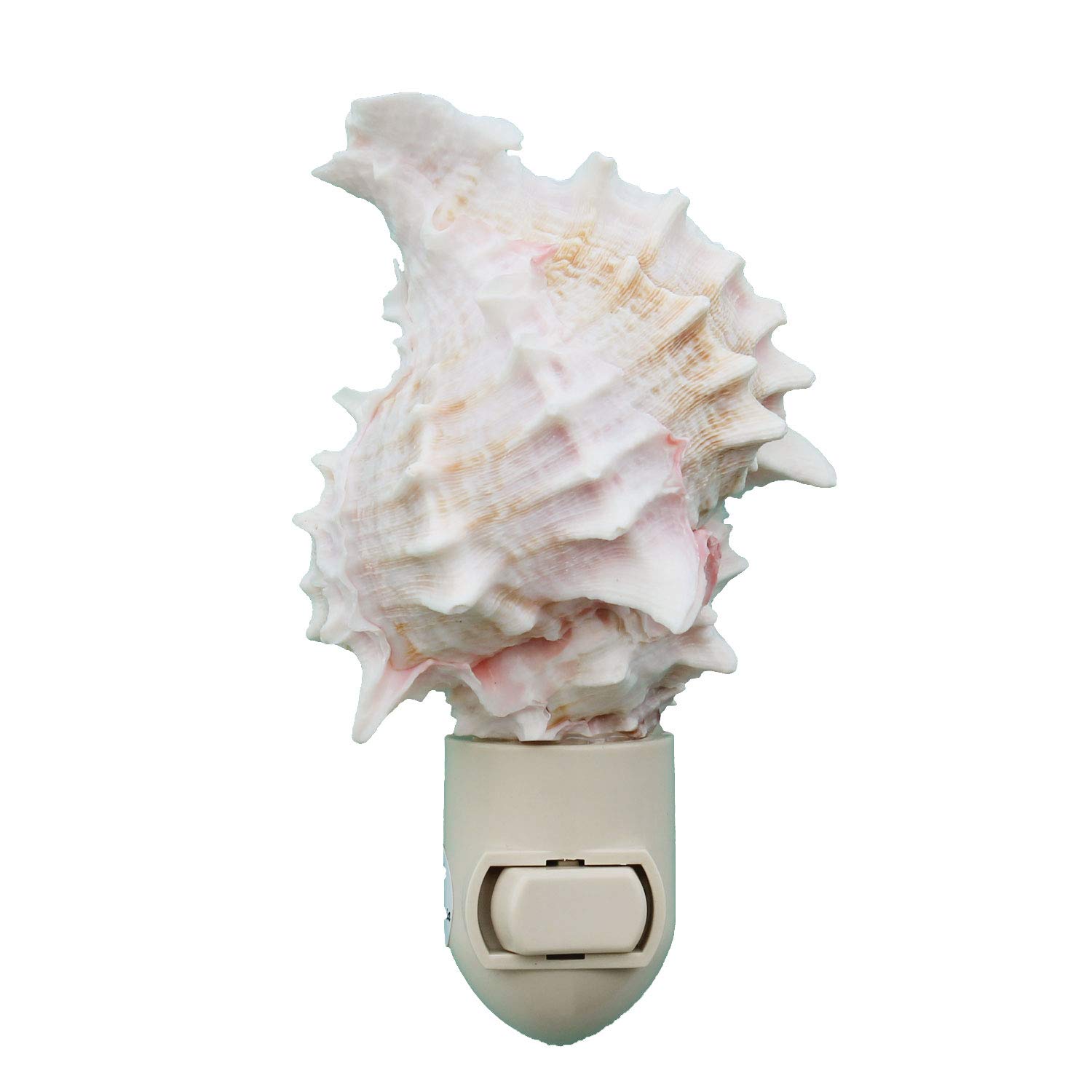 Pink Murex Shell Night Light