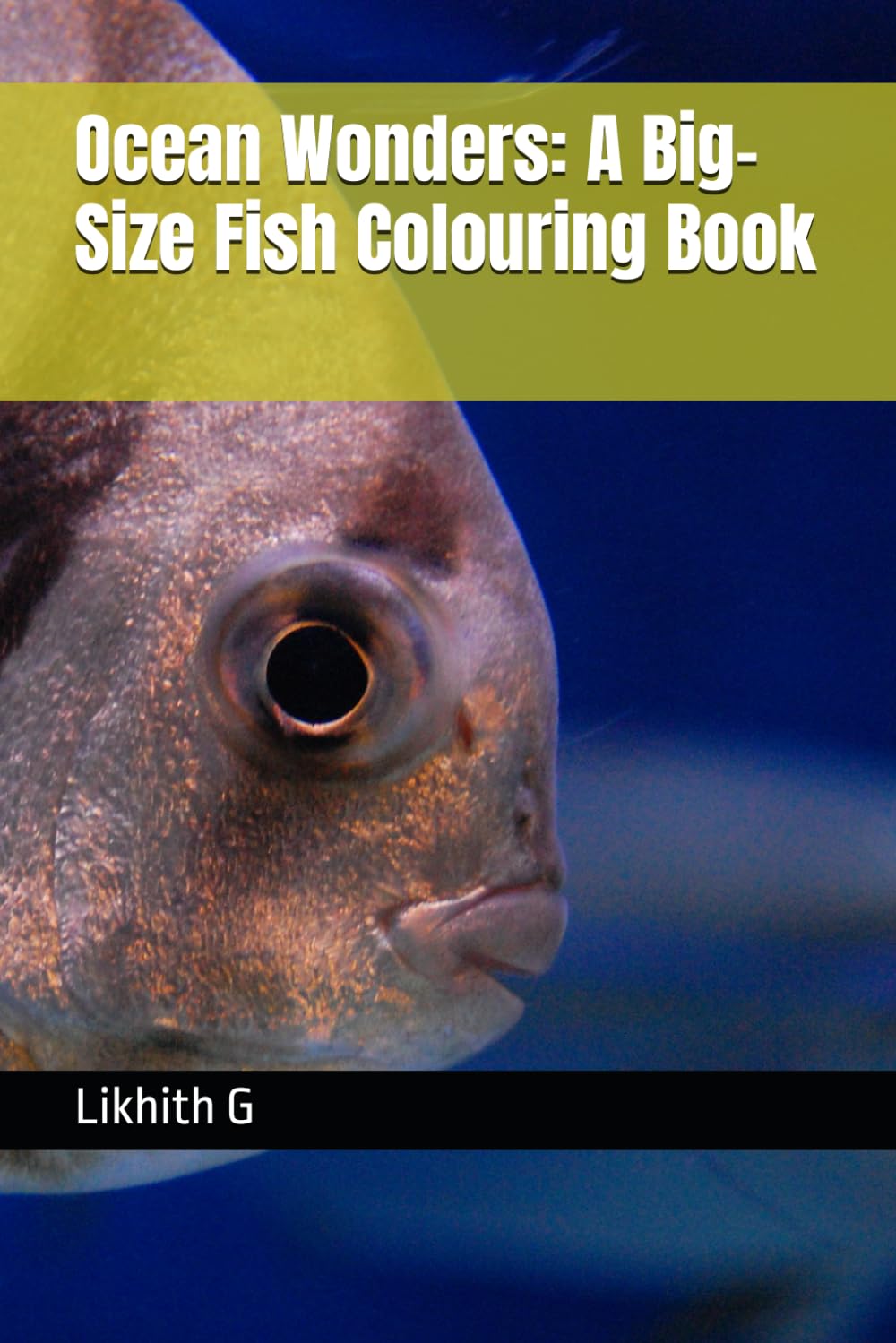 Ocean Wonders: A Big-Size Fish Colouring Book