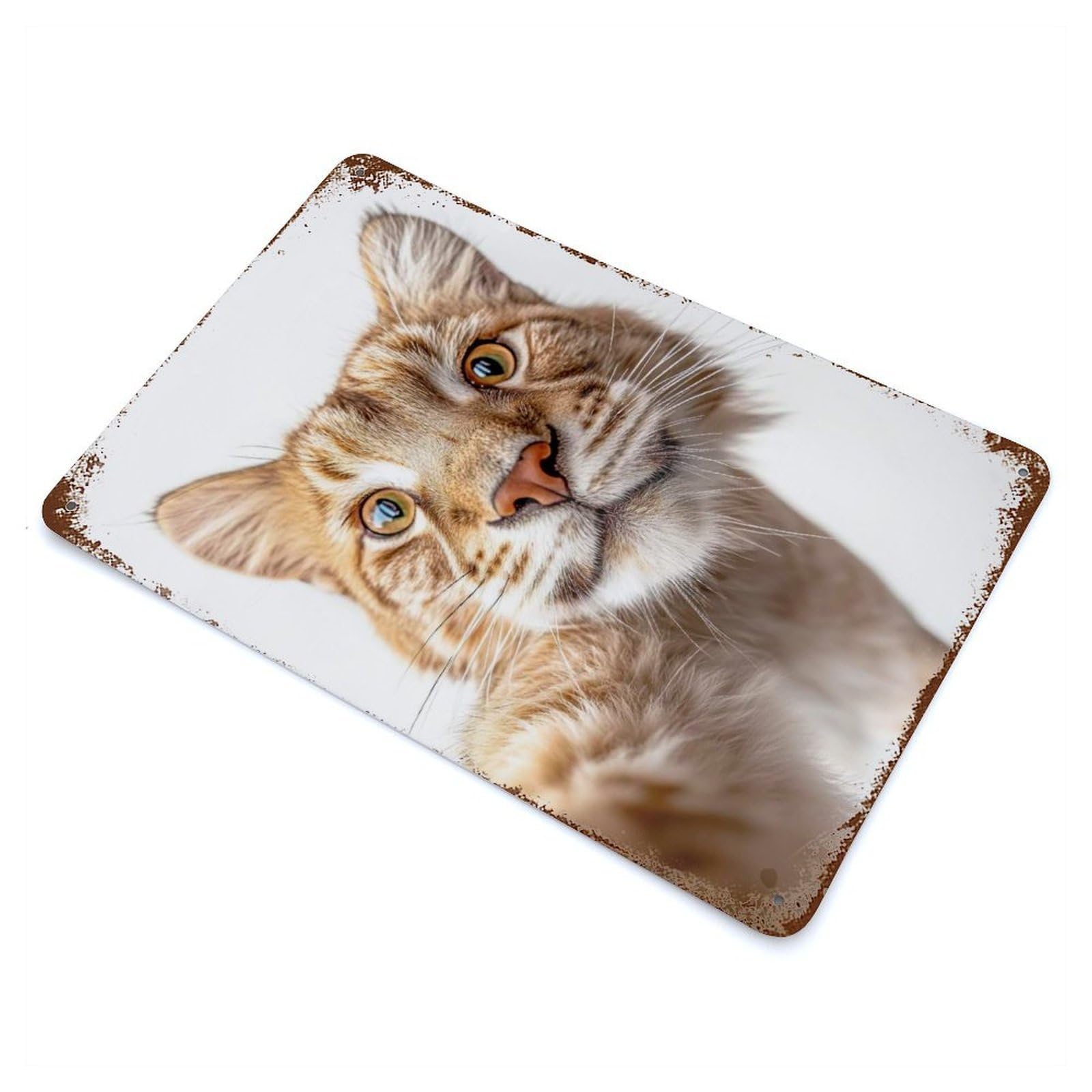 Distressed Metal Wall Sign Playful Wild Cat Taking Selfie 11.8"x7.9", Vintage Wall Decor for Garage, Bar And Workshop Decor