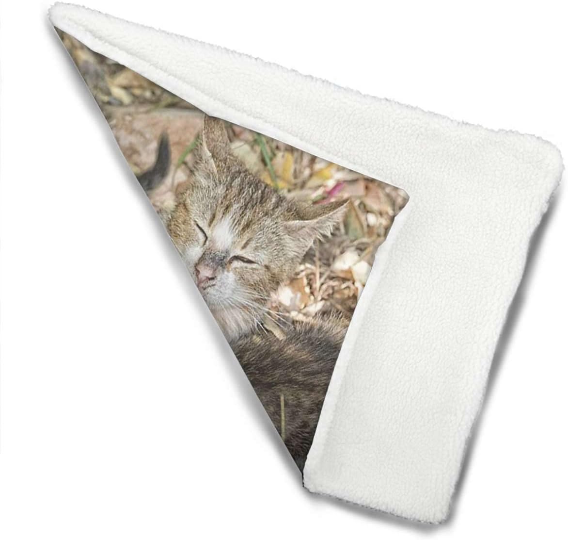 review Grey Dog Bed Mat Funny Kitten Siblings Lying Pastel Cream Self Warming Crate Pad with Soft Sherpa Top for Dogs, Cats, Pets by Animal 14