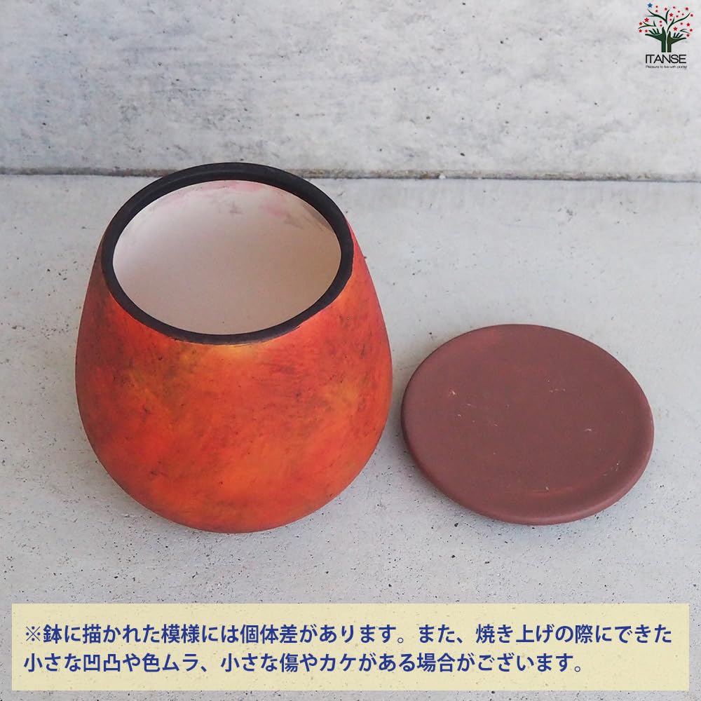 Amazon.co.jp: ITANSE 皿付陶器鉢 彩色焼磁 オレンジ 12cm 2個