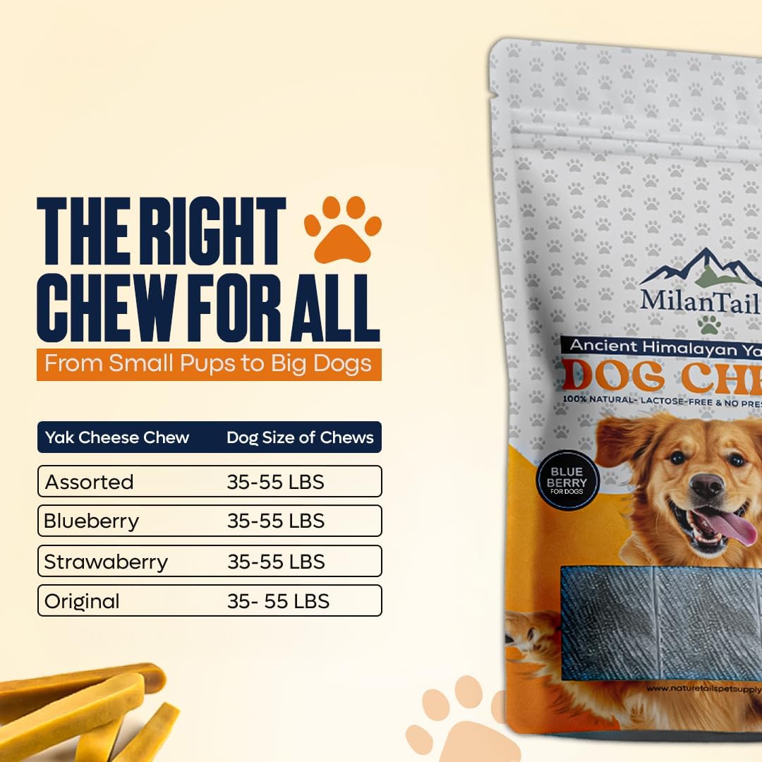Premium Natural Fruit-Flavored Himalayan Yak Chew for Dogs - 300g, All-Natural, Long-Lasting, Authentic Yak Milk, Healthy Dental Chew, High-Protein (Large, Blueberry)
