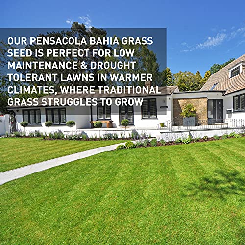 Grass Seed Blends For Sandy Soil Beach Properties