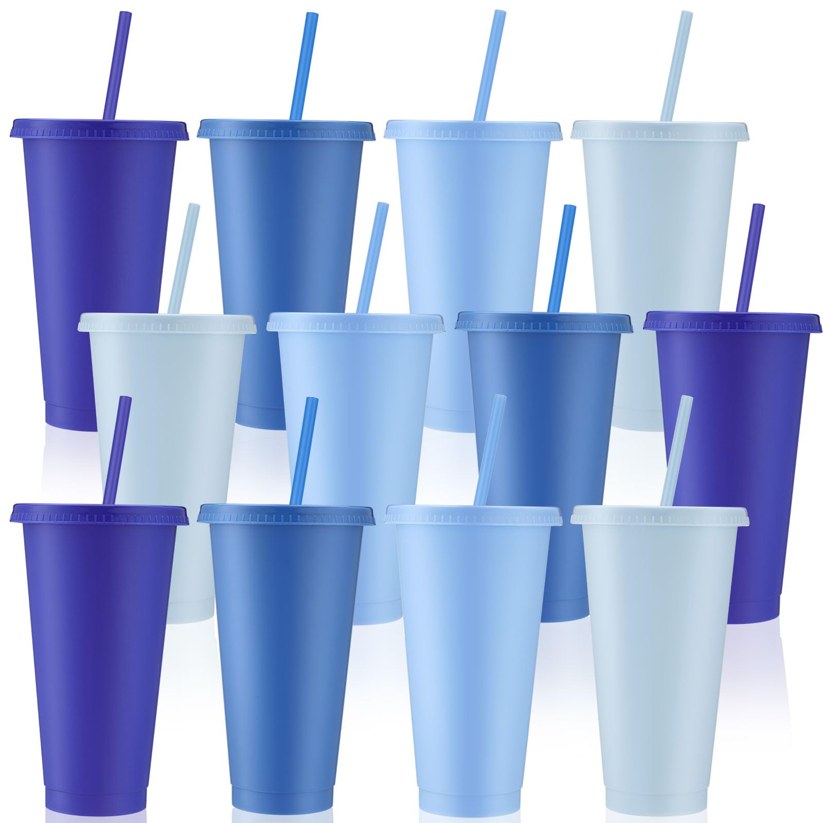 Skylety 12 Pcs Plastic Cups with Lids and Straws 24 oz Reusable Tumbler Large Travel Mug Cup Coffee Beverage Drinks Party Supplies for Christmas Wedding Bridal Baby Shower Birthday (Gray Blue)