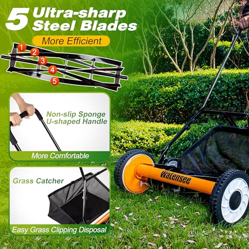 Image of Walensee 20-Inch 5-Blade Push Reel Lawn Mower, Cordless Manual Reel Lawn Mower Walk-Behind Steel Lawn Mowers with Removable 11.8-Gallon Grass Catcher, Sponge Grip, 9-Position Cutting Height Adjustment