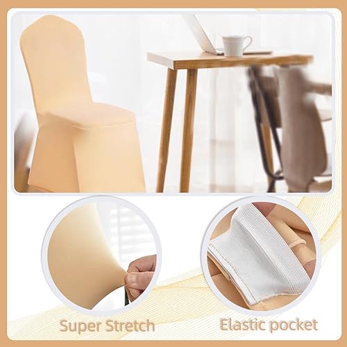 Miniatura 3 de Yahpetes Funda para silla, de poliéster y elastano, color champán, para banquete, parte delantera plana, elástica, para bodas, banquetes, comedores,