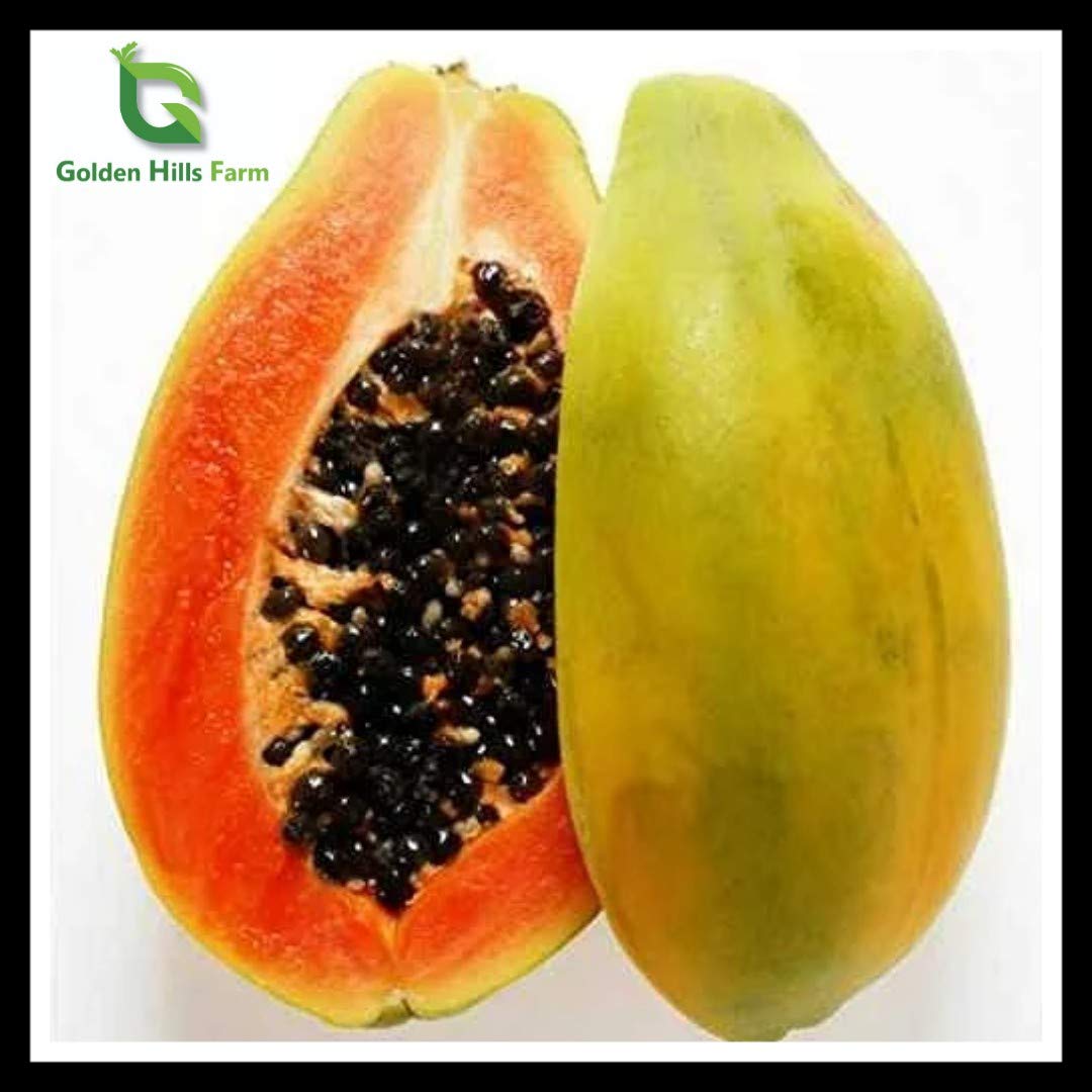 See full amazon price history chart for Golden Hills Farm Rare Dwarf Red Lady Papaya Plant 1 Healthy Live Plant on poly Bag Golden Hills Farm Rare Dwarf Red Lady Papaya Plant 1 Healthy Live Plant on poly Bag (B07QBGRBZV) Amazon Price History, Amazon Price Tracker