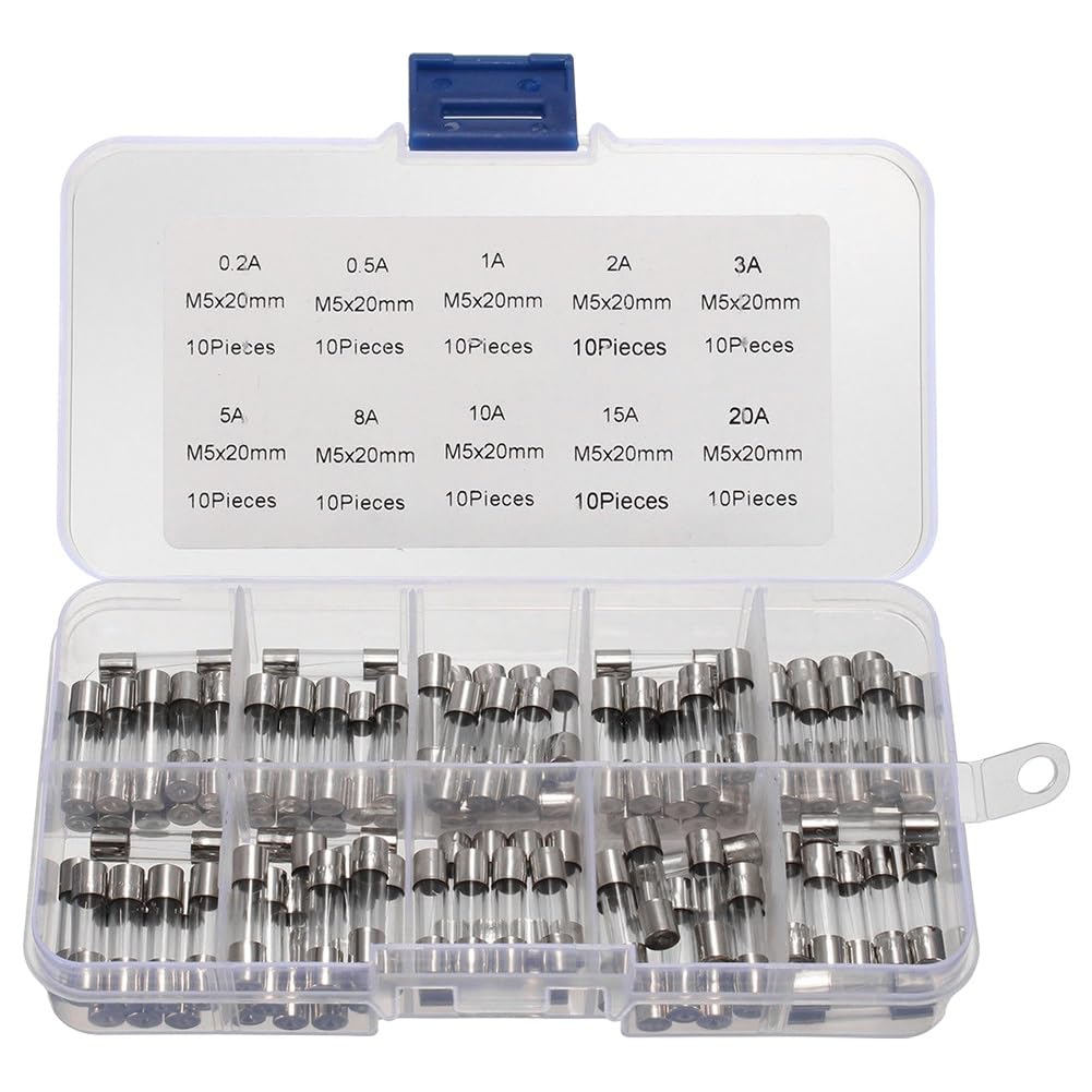 Yzwhkj One Color Glass Tube Fuse,Fast Blow Glass Fuses 100Pcs Glass Tube Fuse Assorted Kit Amp 0.2A-20A Fast-Blow Glass Tube Fuse Glass Fuse Assortment Pack With Storage Box