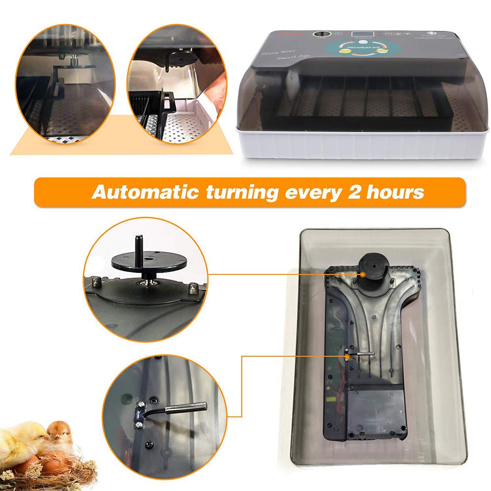 Macchina per incubatrice di pollame Completamente Automatica a 12 Uova, Rotazione Automatica e Controllo della Temperatura, allevatore di Piccole incubatrici digitali per Pollo da cova
