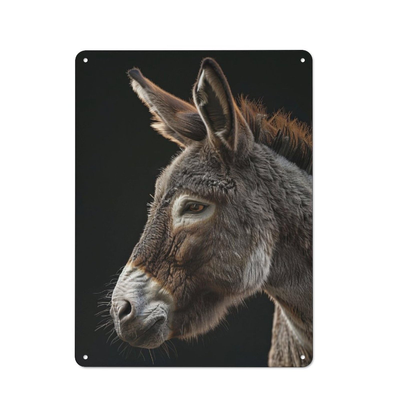 Junmoney Donkey Cottage Style Country Metal Sign 40X30cm, Farmhouse Wall Decor For Farmhouse Kitchen, Pantry Or Dining Area