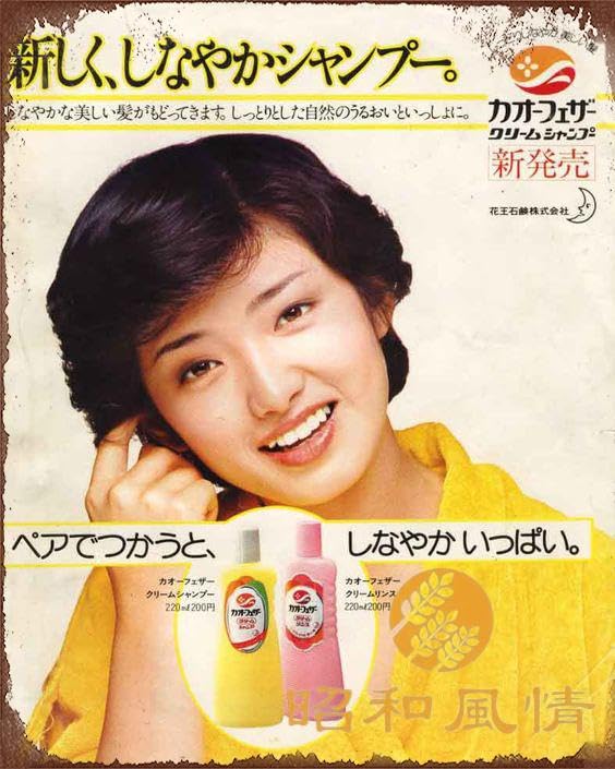 Amazon.co.jp: 【昭和の風情】山口百惠 昭和レトロ 広告 ブリキ看板