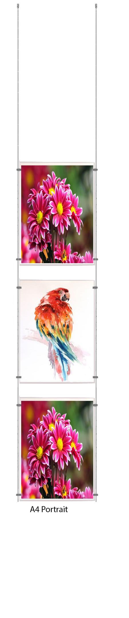 A4 Portrait Wire Cable Display Acrylic Poster Holder Retail Shop Window Signs Display Panels (3 Pocket)