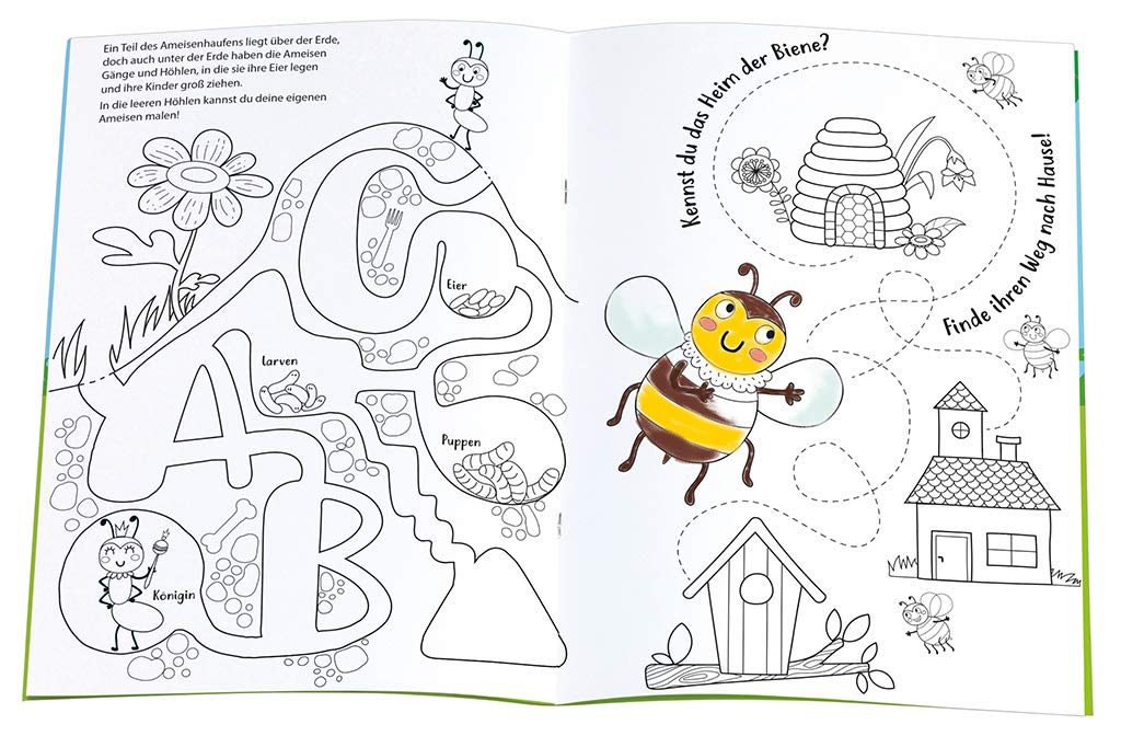 Mein Krabbelkäfer-Malbuch: Mit vielen Rätseln, Labyrinthen und Suchbildern