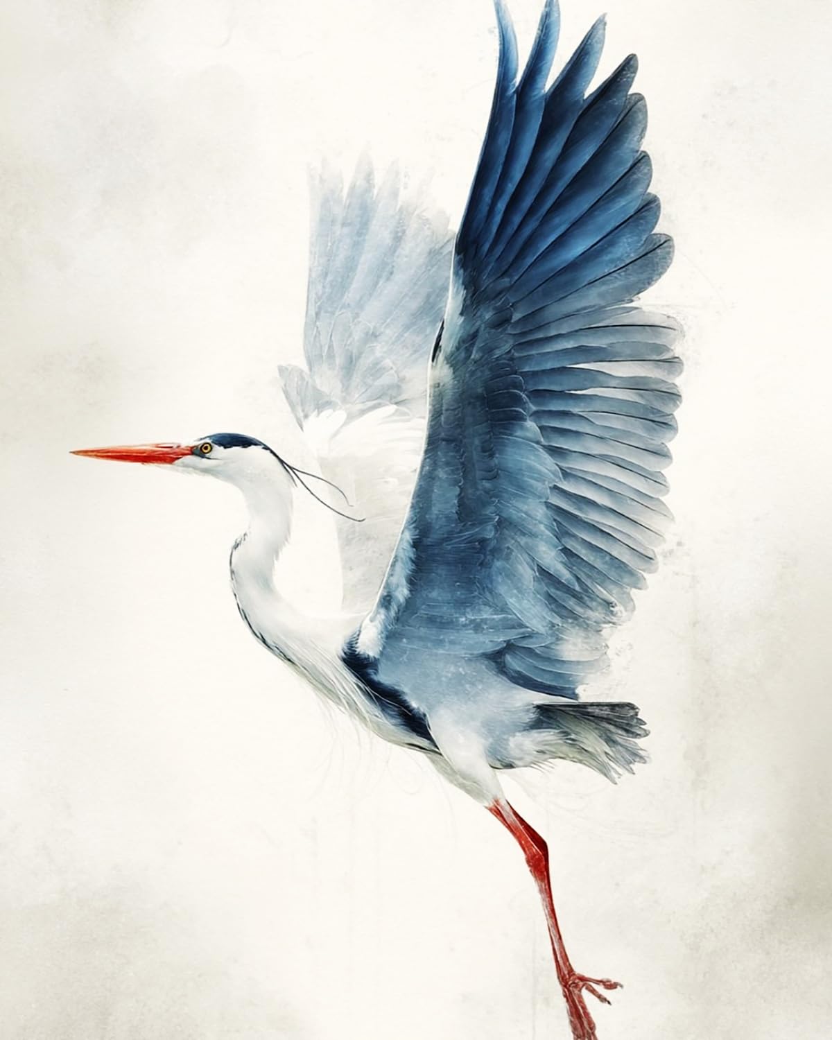 LIUBAISHI Paint by Numbers for Adults, DIY Acrylic Painting Kit, Heron with Outstretched Wings, 40x50 cm Canvas