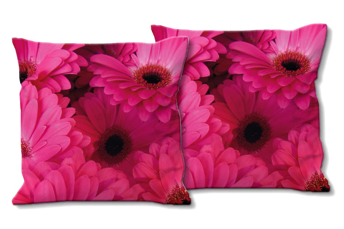 Gerbera in Pink - Foto-Kissen-Hülle Set (2 STK.) 40 x 40 cm | Kissen-Bezüge - passend zu Wandbild - Deko-Kissen - Blumen-Strauß Blüte Natur Garten