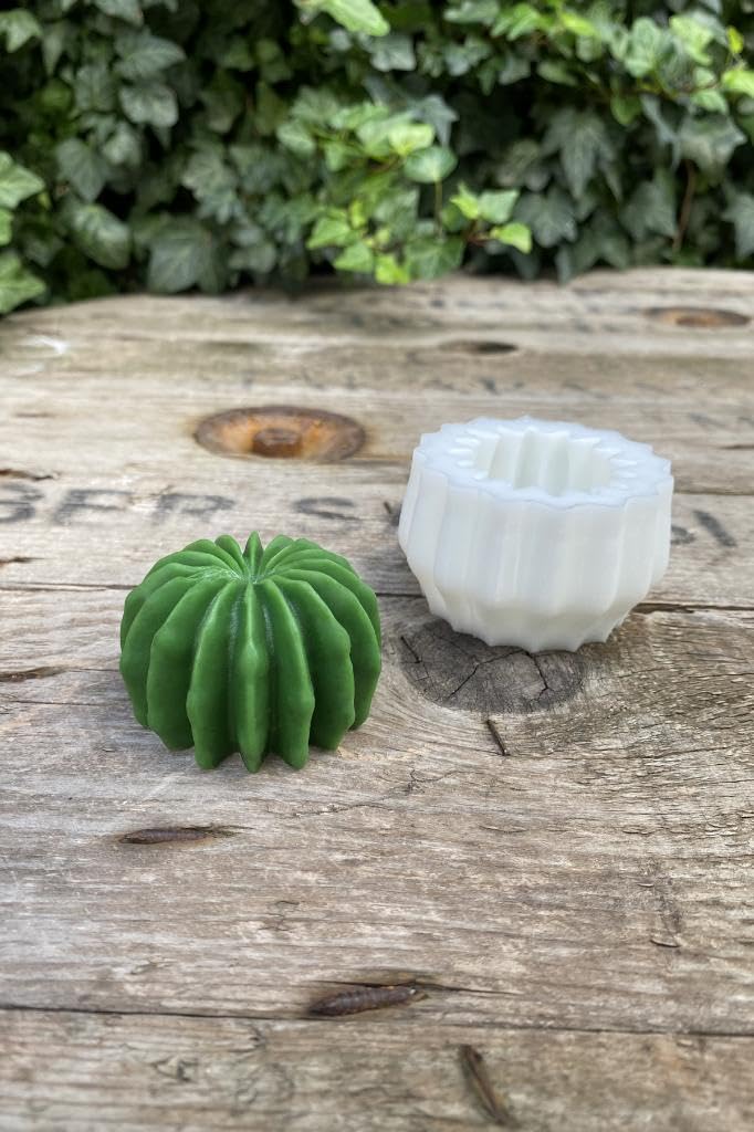 Rufus Concept Ball Kaktüs Mum Kalıbı (Silikon)
