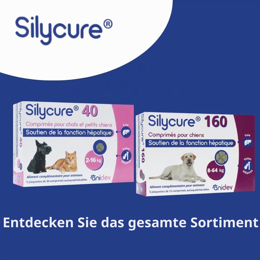ANIDEV Silycure 160 – Ergänzungsfuttermittel zur Unterstützung der Leberfunktion für Hunde – Silybin Mariendistel – Appetitliche Tabletten vierfach – 75 Tabletten