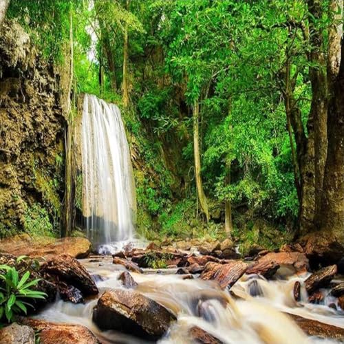 Papier peint forêt et rivière 3D auto-adhésif pour salon et hôtel
