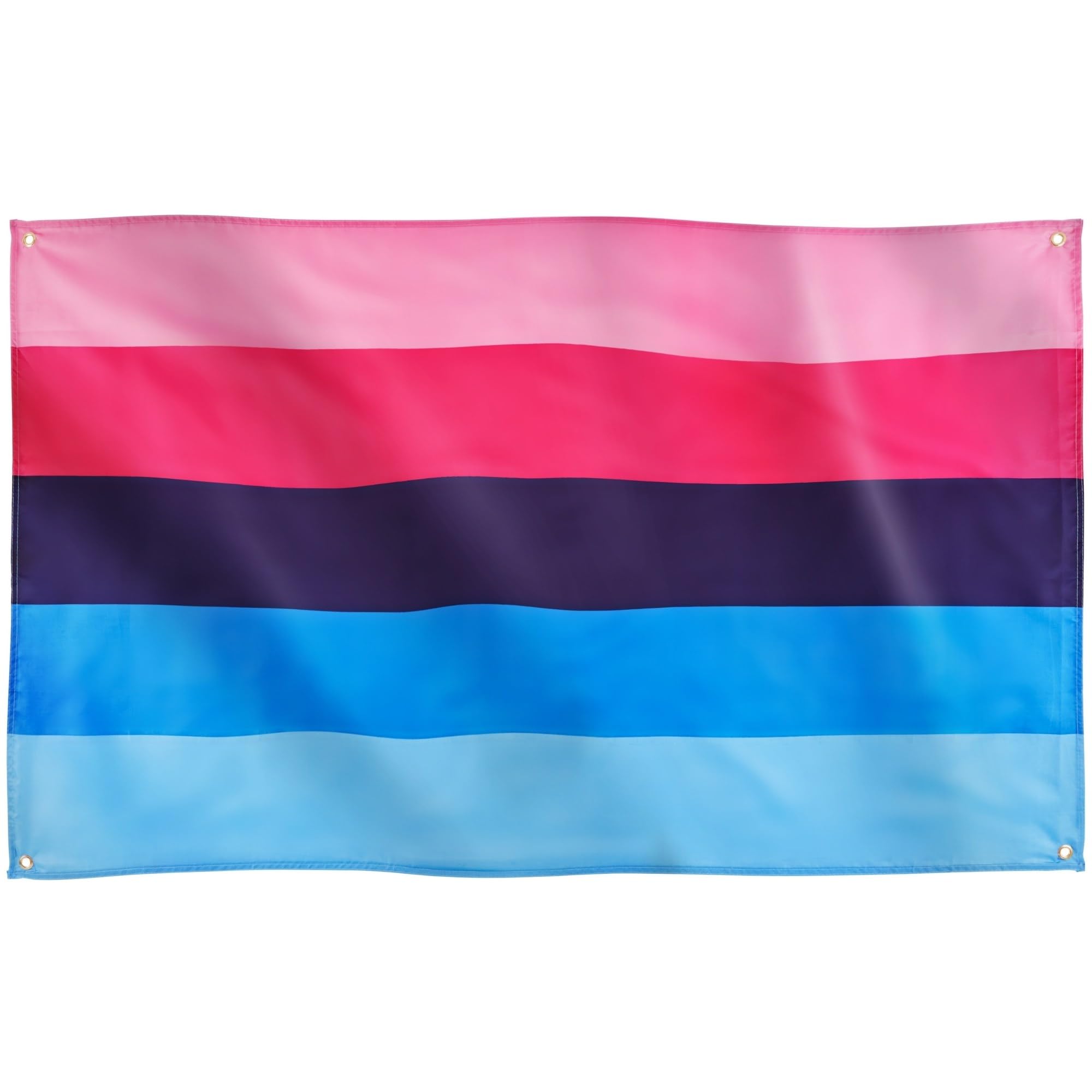 Runesol Omnisexual Pride Flag, 91x152cm, 3ft x 5ft, 4 Grommets, Eyelet In Every Corner, Gay Pride Flag, LGBT+ flag