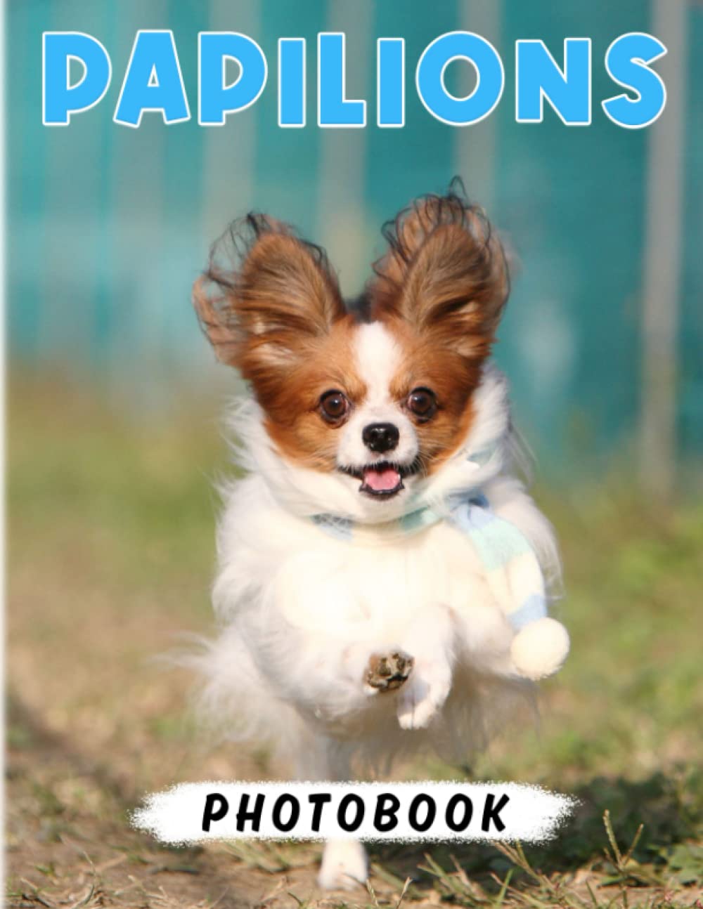 Papilions Photo Book: Toy Dog of Singular Beauty for Women, Girls and Anyone to Love | With 40+ Pages High Quality Pictures for Relaxation