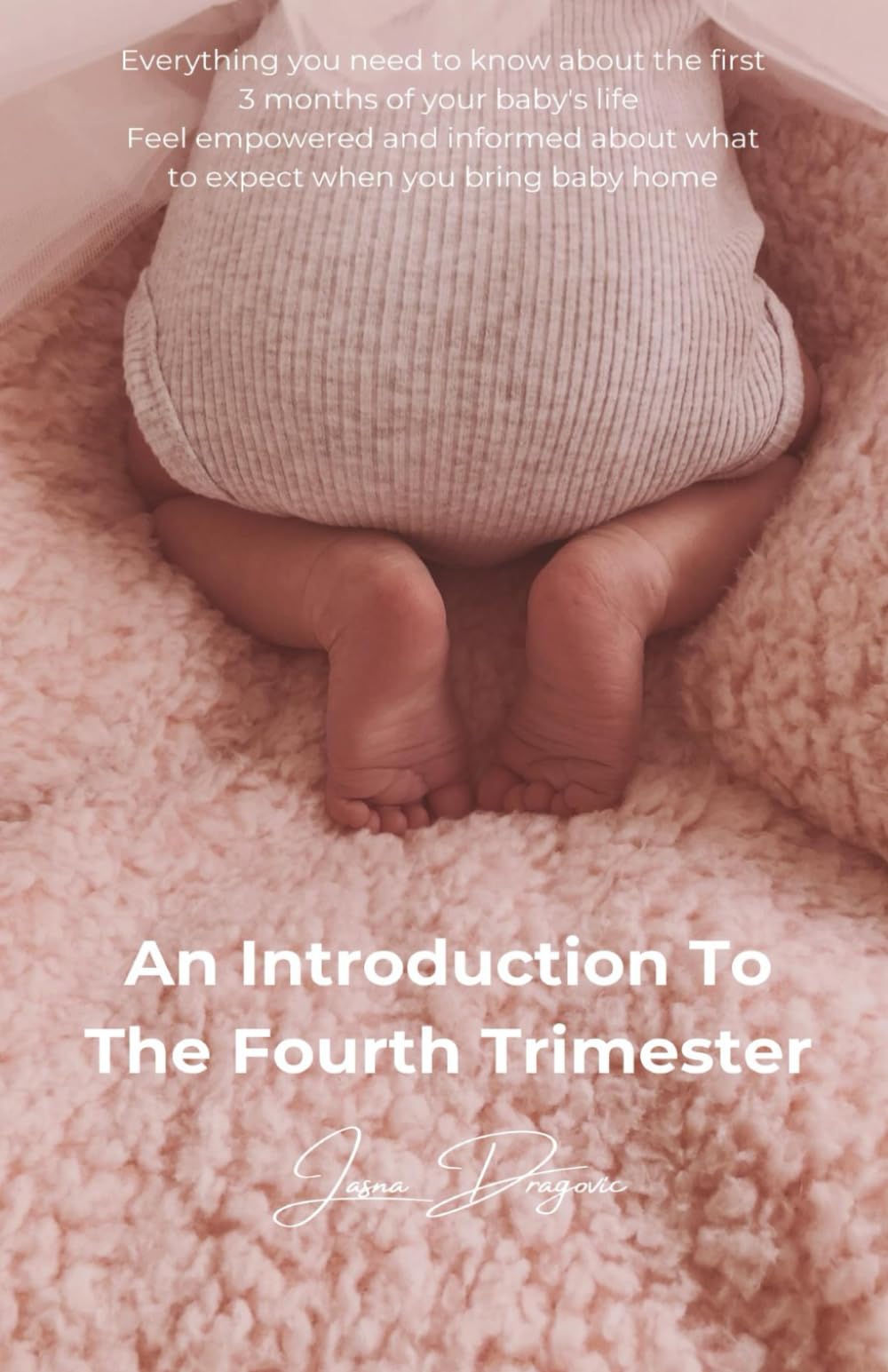 An Introduction To The Fourth Trimester: Everything you need to know about the first 3 months of your baby's life - Feel empowered and informed about what to expect when you bring baby home