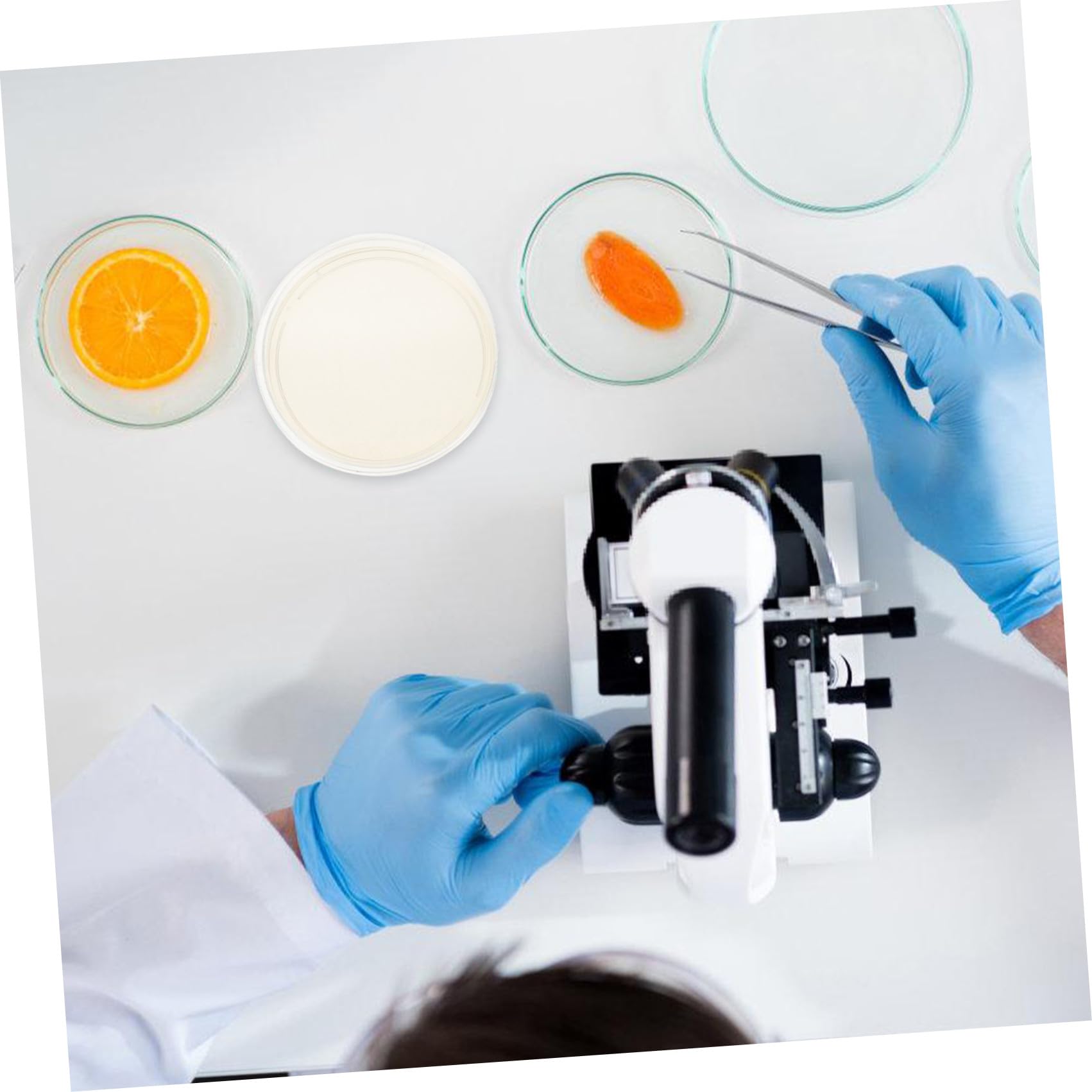 20 Pezzi Piastre di Petri Rotonde in Plastica Agar Nutritivo da 9 Cm, Coperchi Ermetici per Crescita Stabile, per Esperimenti Scientifici in Laboratorio