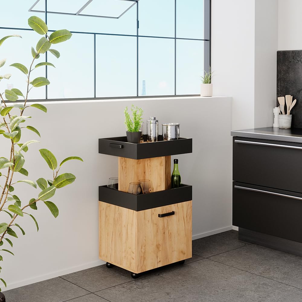 Vicco Hausbar Minibar Getränkebar Kamber Tür rollbar Ablage Fach Regal