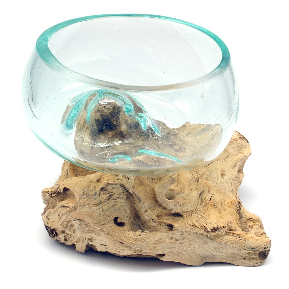 Wurzel mit Glasschale klein Schale Dekoschale Glas auf Holz Durchmesser 12-13 cm Holzdeko Teakholz Deko