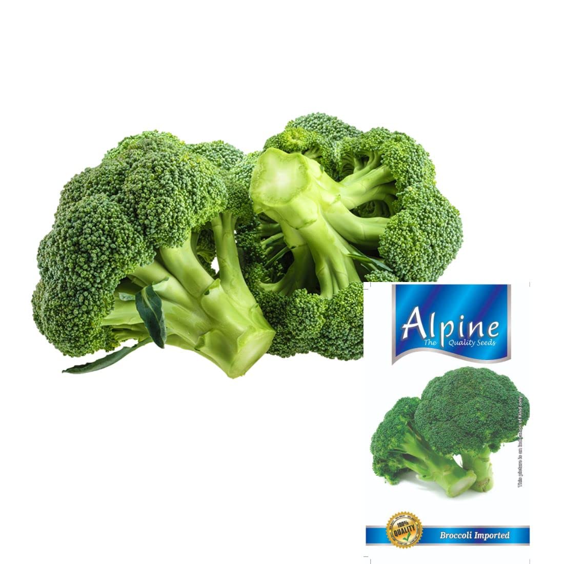 Broccoli seeds, Hybrid fresh vegetable broccoli seeds (Per Packet 50-70 Seeds) (B09ZLKSJRJ) Amazon Price History, Amazon Price Tracker