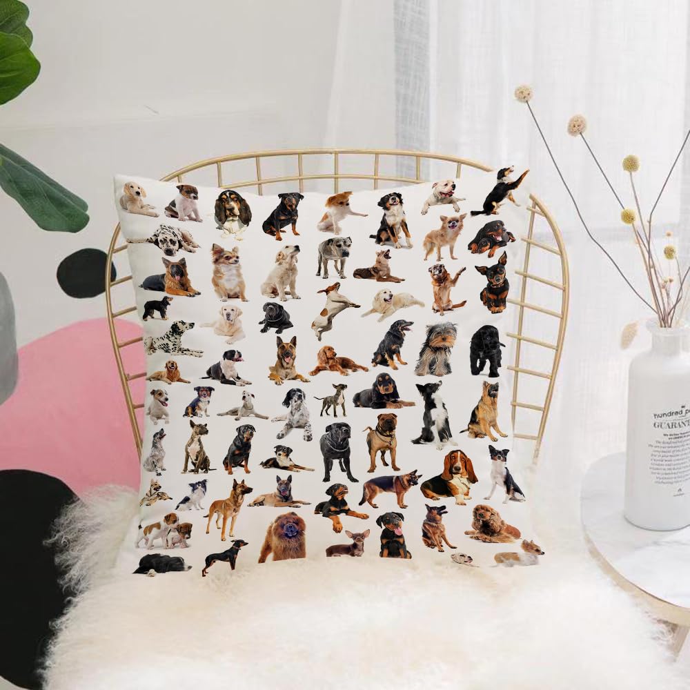 HYMSXW Cushion Cover,Throw Pillow Case Home Decorative for Living Room Bedroom Sofa Chair 20X20 Inch,Dog lover decor, picture with purebred dogs Australian Sch,Pillowcase 50X50cm