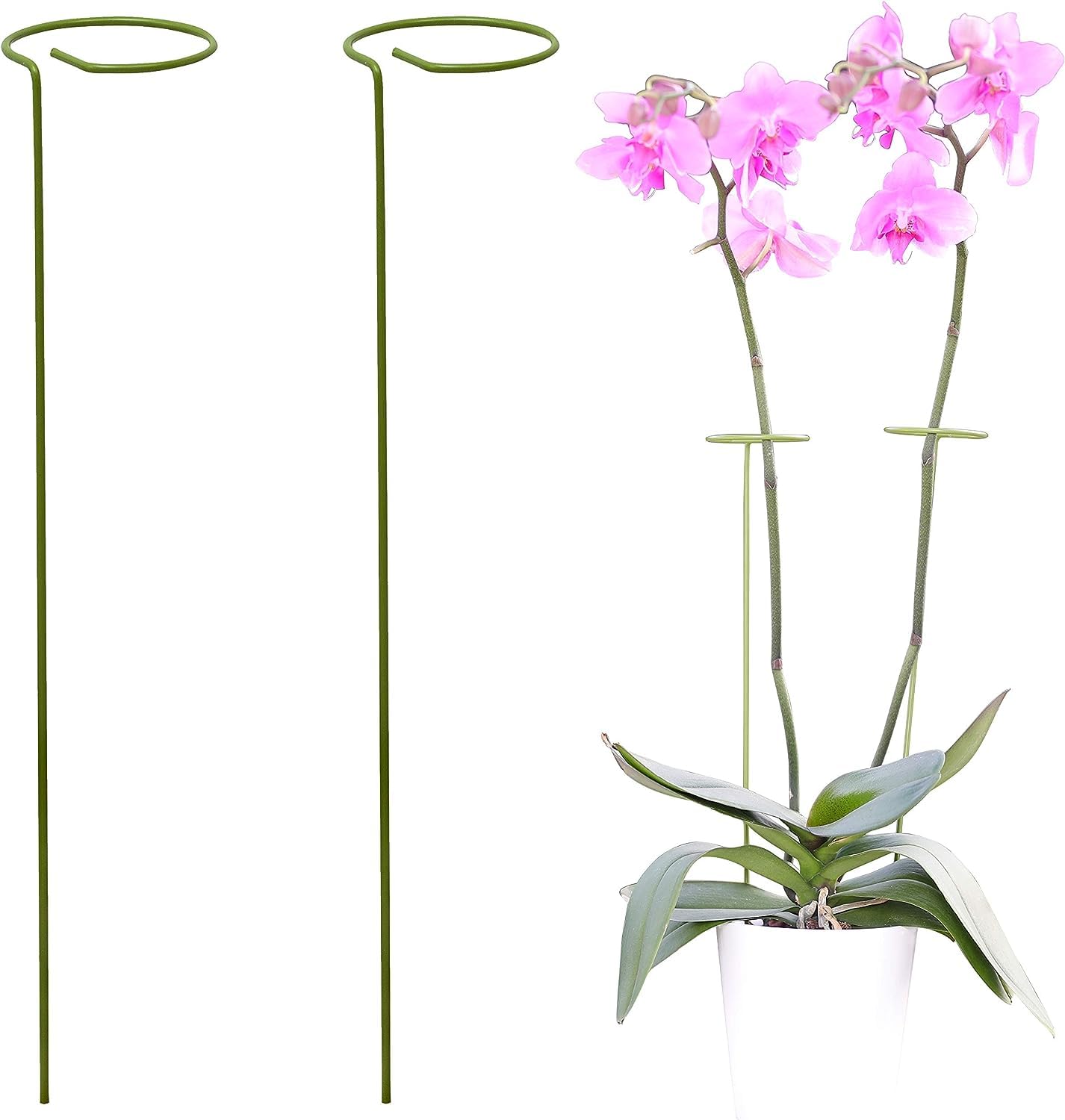 See full amazon price history chart for 2 Pack Plant Stakes | Plant Supports for Tall Plants and Flowers | Green Garden Stakes | Help Your Flowers Grow | Tomato Cages for Garden | Plant Sticks for Orchid, Amaryllis, Peony, Peppers and More 2 Pack Plant Stakes | Plant Supports for Tall Plants and Flowers | Green Garden Stakes | Help Your Flowers Grow | Tomato Cages for Garden | Plant Sticks for Orchid, Amaryllis, Peony, Peppers and More (B0CT2TQR4Z) Amazon Price History, Amazon Price Tracker