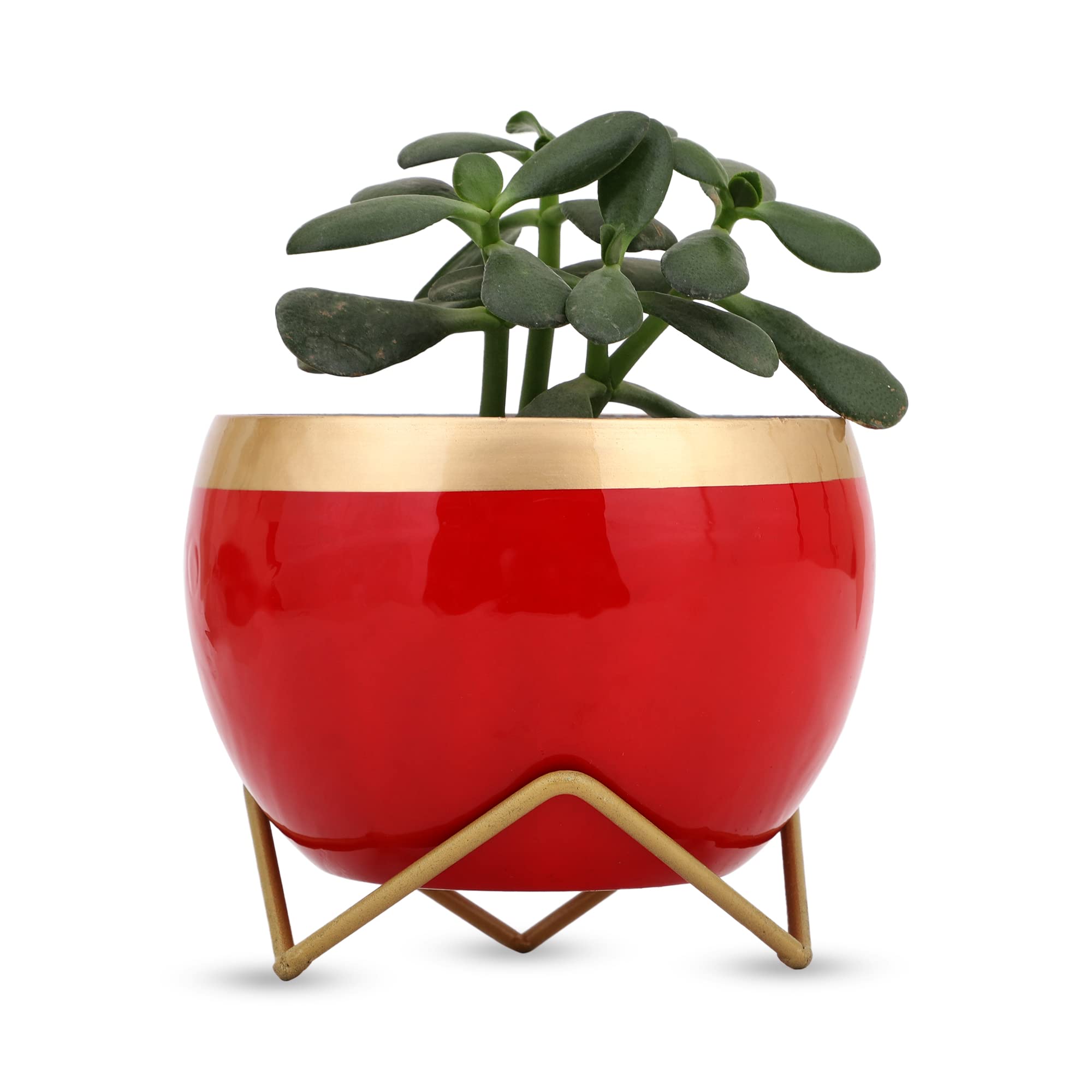 vudy Indoor Plant Pots with Stand - Modern Planter -10