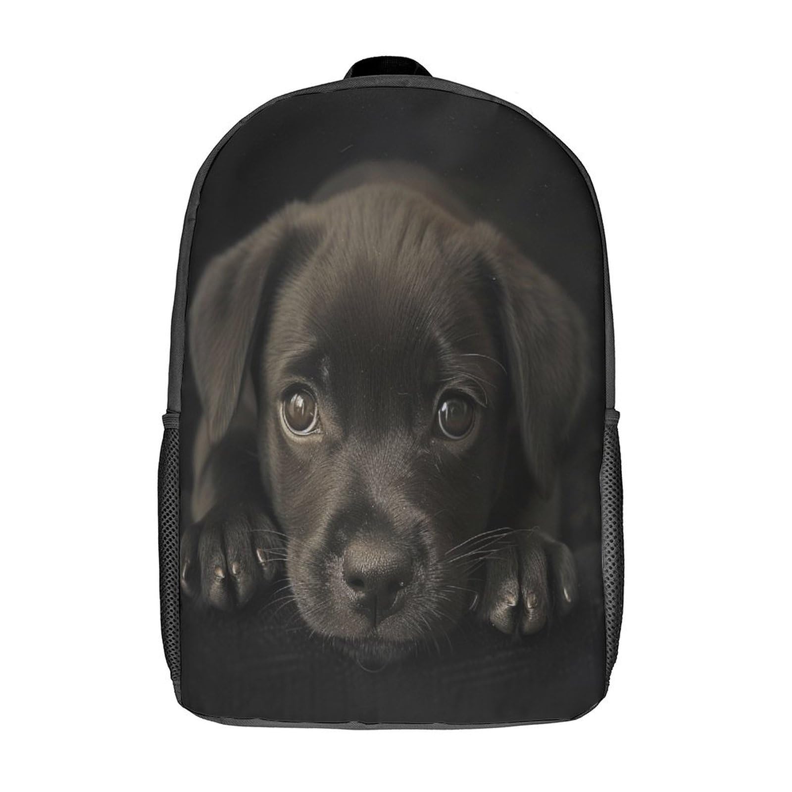 DOESUEBBD Labrador Dog Kids Backpack - School Bags for Children's Bookbag Preschool Kindergarten Elementary Rucksack Lightweight Hiking Travel Casual Laptop Book Bag Backpacks 17inch