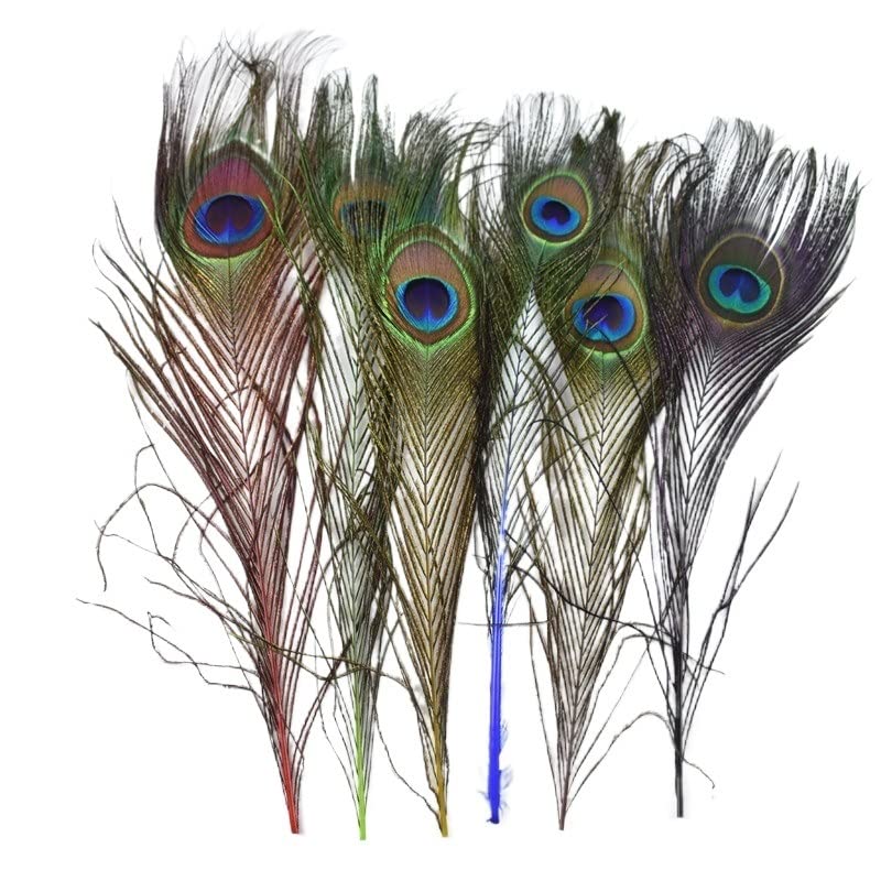 Pióra z pióra pawia, Opakowanie 10 piór pawich 25-30 cm w kolorze naturalnym